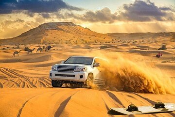 Dubai Premium Evening Desert Safari Quad Bike Dinner & Shows