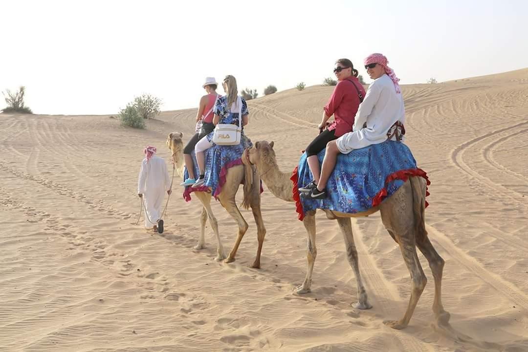 Top 5 Dubai Tours