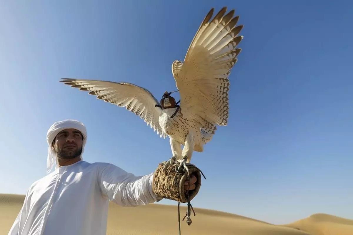 Al Saqr Travel and Tourism LLC