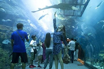 Dubai Mall Aquarium and Underwater Zoo Admission Ticket