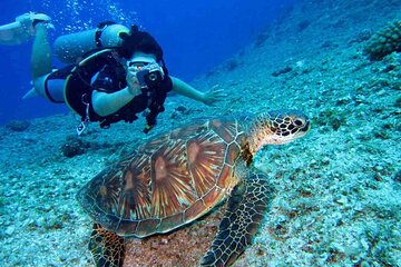 Discover Scuba Diving