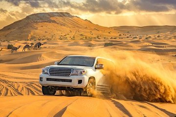 Unique Adventure Desert Safari Dubai in Morning