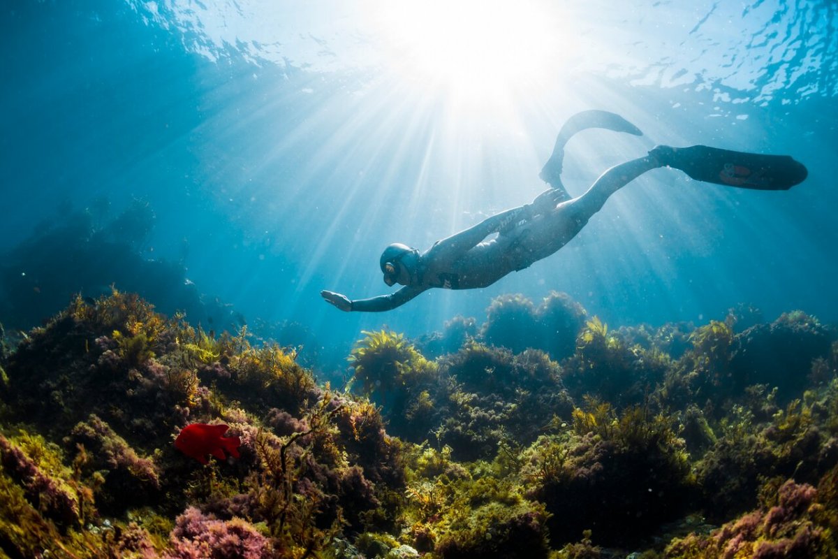 APNEA ZONE