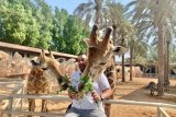 Dubai Adventure Holiday