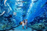 Dubai Adventure Holiday