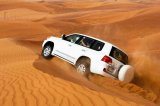 Desert Wings Travel & Tours LLC