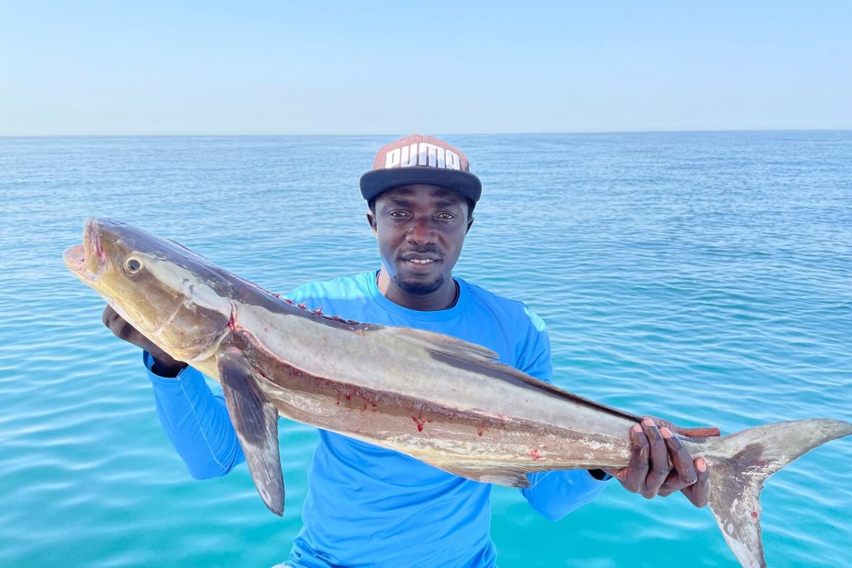 Ocealics Fishing Tours