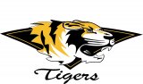 Tiger Tourism