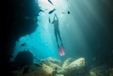 APNEA ZONE
