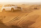 Sterna World Tourism LLC Dubai