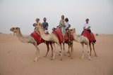 Camel Ride Dubai