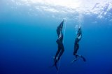 APNEA ZONE