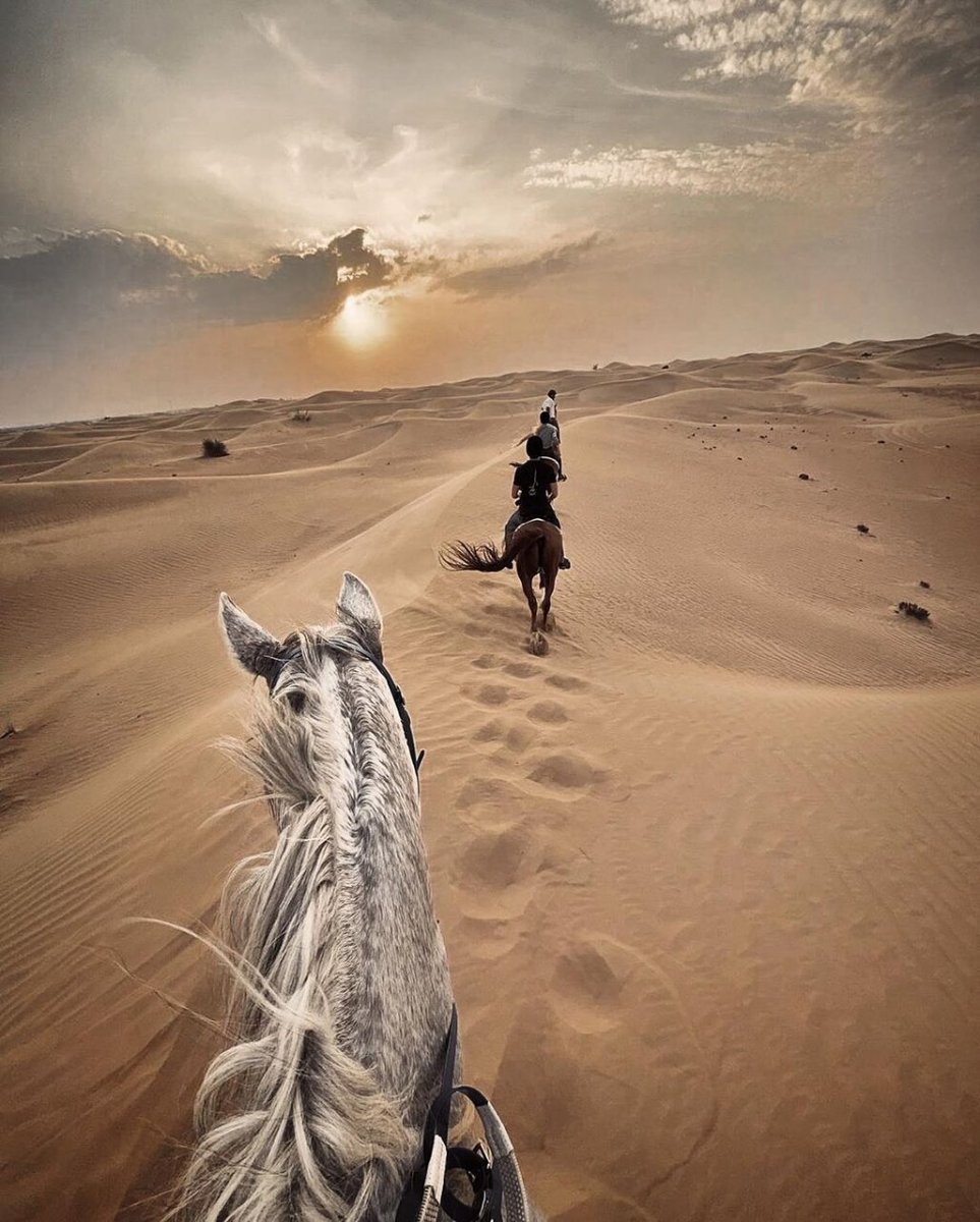 Happy Dunes Stables