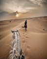 Happy Dunes Stables
