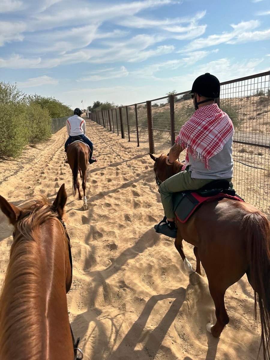 Happy Dunes Stables