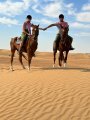 Happy Dunes Stables