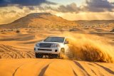 Euro Gulf Tourism LLC